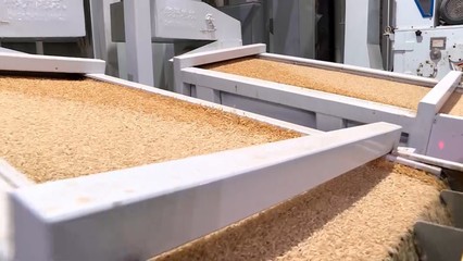定調!華容縣下步糧食產業發展目標來了
