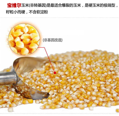 爆米花玉米原料市場與加工設備全解析