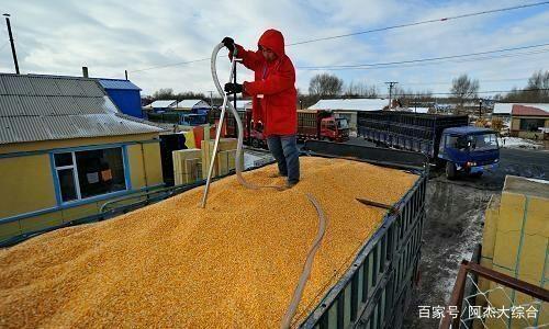 為什么糧食遲遲不漲價?到底是什么原因導致的?看完后心里有數了